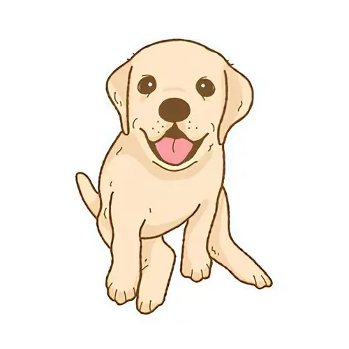 Labrador sable Chewie - Les photos de mon chien de 2005 à 2009 Labrador sable Chewie - Les photos de mon chien de 2005 à 2009