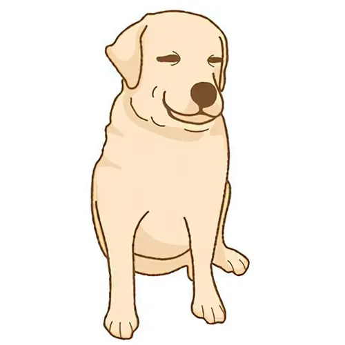 Arbre généalogie de Chewie Découvrez l'arbre généalogie de Chewie